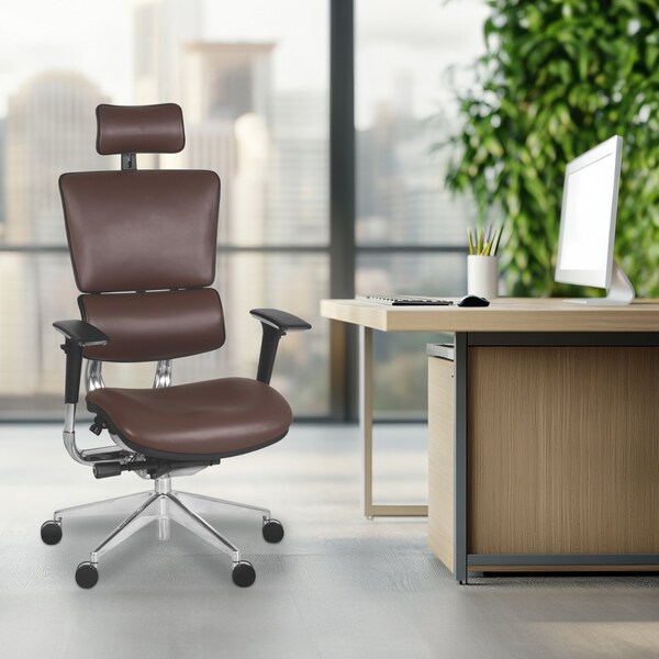 Regency Omega Ergonomic Leather Executive Office Chair with Headrest/Adjustable Lumbar Support, Chocolate - OMG004CH