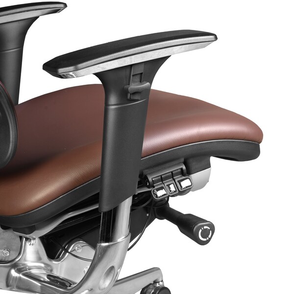 Regency Omega Ergonomic Leather Executive Office Chair with Headrest/Adjustable Lumbar Support, Chocolate - OMG004CH