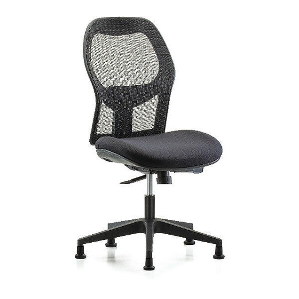 Blue Ridge Ergonomics Executive Mesh Chair, Glides - BR-EXE-MDHCH-RG-H0-A0-RG