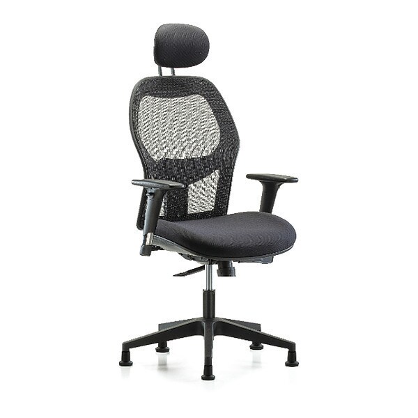 Blue Ridge Ergonomics Executive Mesh Chair, Headrest, AA, Glides - BR-EXE-MDHCH-RG-H1-A1-RG