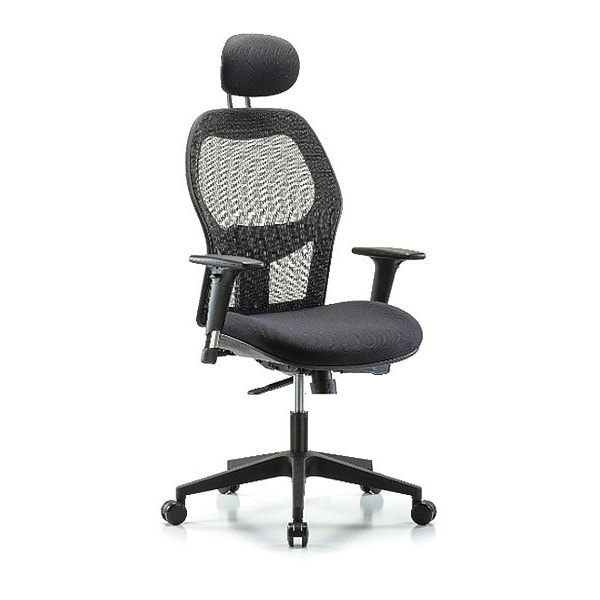 Blue Ridge Ergonomics Executive Mesh Chair, Headrest, AA, Casters - BR-EXE-MDHCH-RG-H1-A1-RC