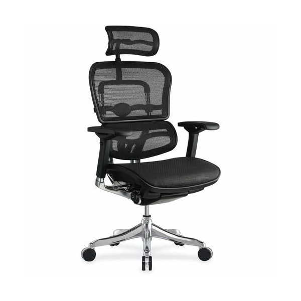 Eurotech - The Raynor Group Chair, Ergo Elite, w/Headrest, Mesh, 26-2/5inx26inx50-4/5in, BK - EUTME22ERGLT