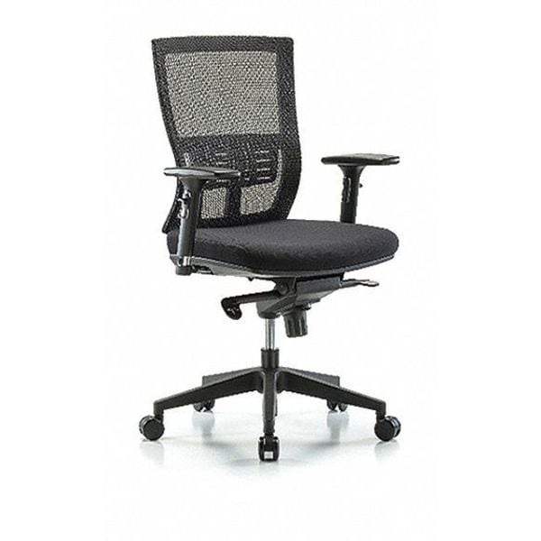 Blue Ridge Ergonomics Desk Chair Modern Mesh Chair, C2, 3D, Arms Casters, Adjustable Arms, 18-1/2" to 21-1/2" Height, Mesh - BR-MOD-MDHCH-RG-C2-A2-RC