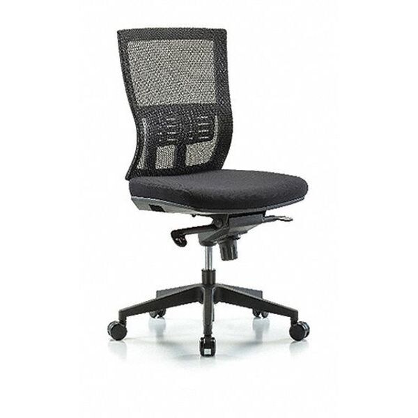 Blue Ridge Ergonomics Desk Chair Modern Mesh Chair, C2, Casters, No Arms, 18-1/2" to 21-1/2" Height, Mesh, Black - BR-MOD-MDHCH-RG-C2-A0-RC