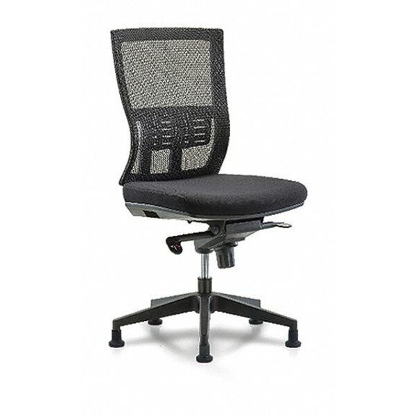 Blue Ridge Ergonomics Desk Chair Modern Mesh Chair, C2, Glides, No Arms, 18-1/2" to 21-1/2" Height, Mesh, Black - BR-MOD-MDHCH-RG-C2-A0-RG