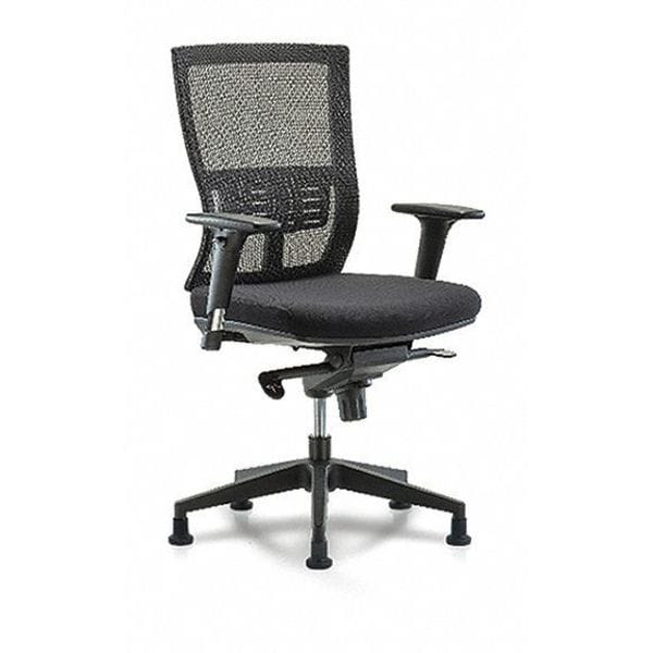 Blue Ridge Ergonomics Desk Chair Modern Mesh Chair, C2, AA, Glides, Adjustable Arms, 18-1/2" to 21-1/2" Height, Mesh, Black - BR-MOD-MDHCH-RG-C2-A1-RG