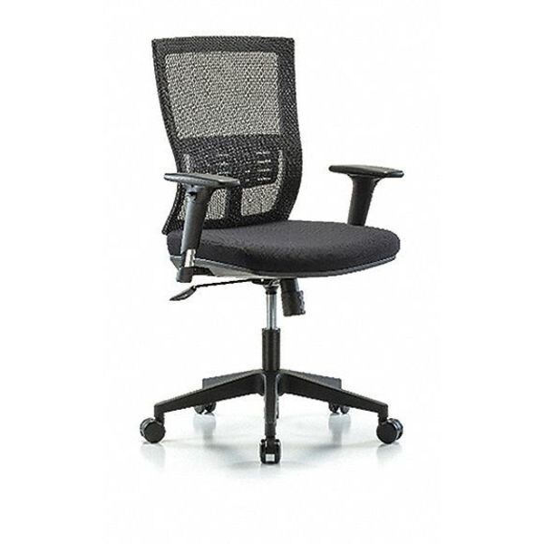 Blue Ridge Ergonomics Desk Chair Modern Mesh Chair, C1, AA, Casters, Adjustable Arms, 18-1/2" to 21-1/2" Height, Mesh, Black - BR-MOD-MDHCH-RG-C1-A1-RC