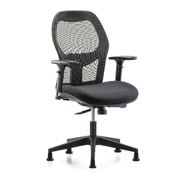 Blue Ridge Ergonomics Executive Mesh Chair, 3D, Arms Glides - BR-EXE-MDHCH-RG-H0-A2-RG