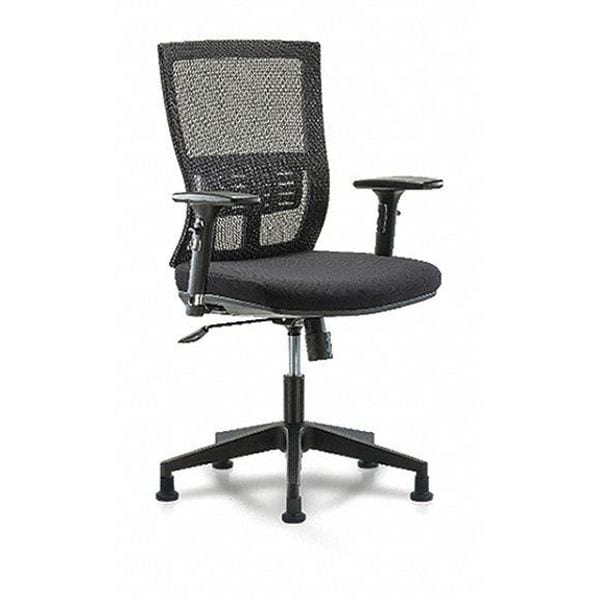 Blue Ridge Ergonomics Desk Chair Modern Mesh Chair, C1, 3D, Arms Glides, Adjustable Arms, 18-1/2" to 21-1/2" Height, Mesh - BR-MOD-MDHCH-RG-C1-A2-RG