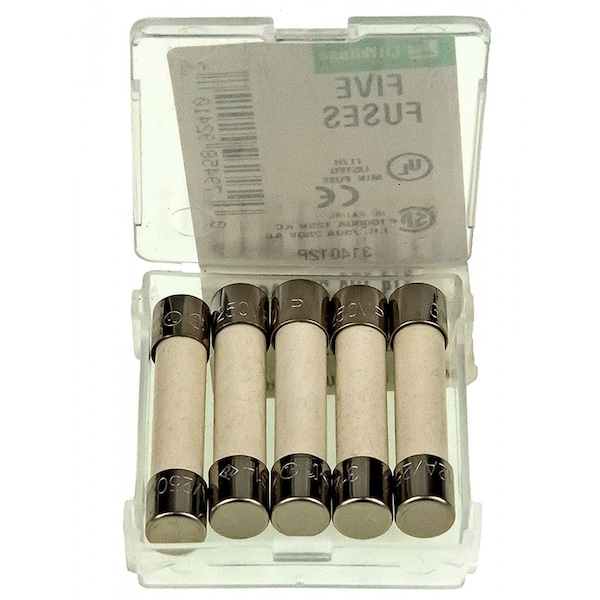 Weil Mclain Slow Blow Fuses, 12A, PK5 - 383-500-604