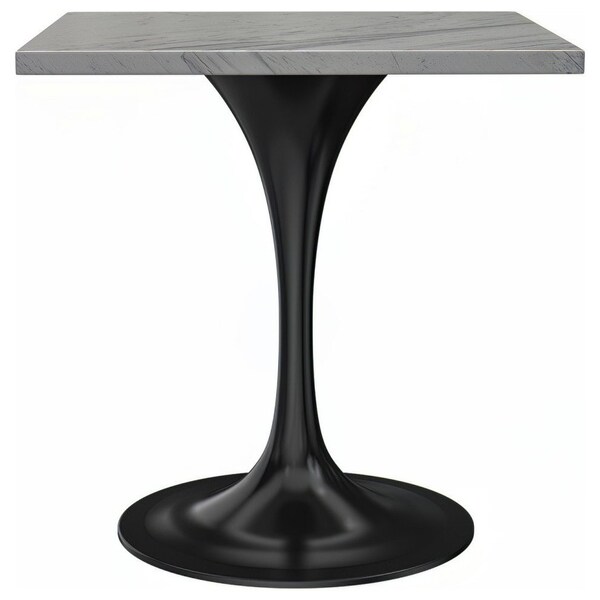 Leisuremod Square 27.56 in W, 29.35 in L, Resin/Stainless Steel, White - VT20BL-S27WMR