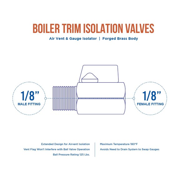 Everflow MIPxFIP Boiler Trim Isolation Valve, Air Vent Isolator, Forged Brass 1/8" - 1818MF
