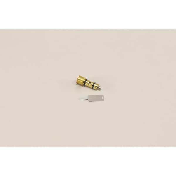 Sporlan Pink Valve Cartridge, BQC-B - 168307