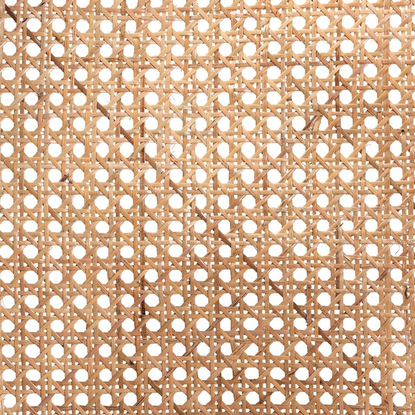 Baxton Studio Palesa Modern Bohemian Two-Tone Black and  Natural Brown Rattan Dining Chair - 232-13394-ZORO
