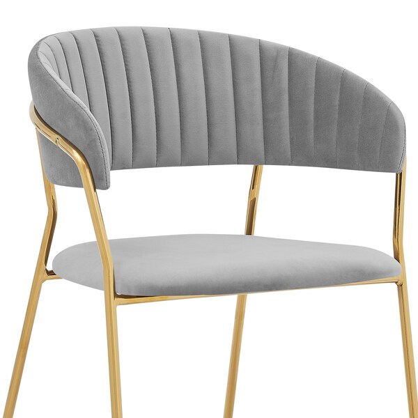 Armen Living Nara Modern Gray Velvet and Gold Metal Leg Dining Room Chairs - Set of 2 - LCNRSIGLGRY