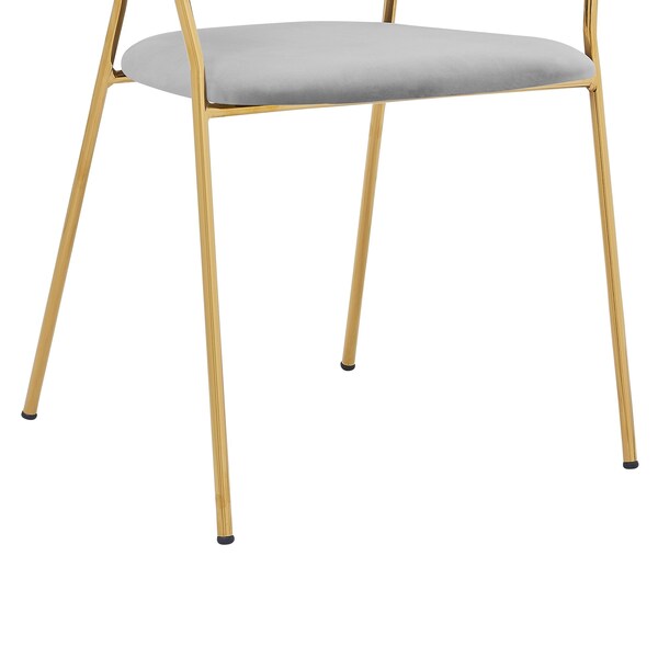 Armen Living Nara Modern Gray Velvet and Gold Metal Leg Dining Room Chairs - Set of 2 - LCNRSIGLGRY