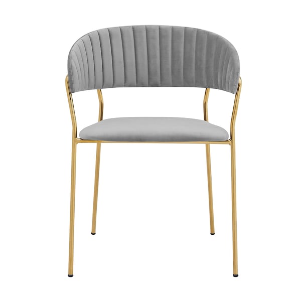 Armen Living Nara Modern Gray Velvet and Gold Metal Leg Dining Room Chairs - Set of 2 - LCNRSIGLGRY