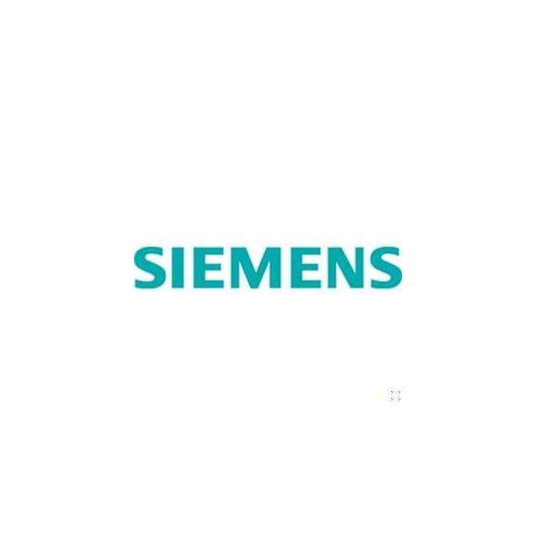 Siemens Imm Well Repair Kit, PT 1K Ohm - 544-577-RK