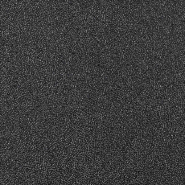 Armen Living Echo Black Oak Wood and Faux Leather Dining Chairs - Set of 2 - LCECSIBLK