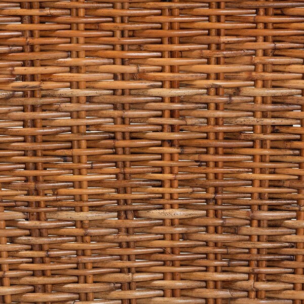 Bali & Pari Manrico Modern Bohemian Wood and Natural Rattan 2-Piece Dining Chair Set, PR - 238-2PC-13218-ZORO