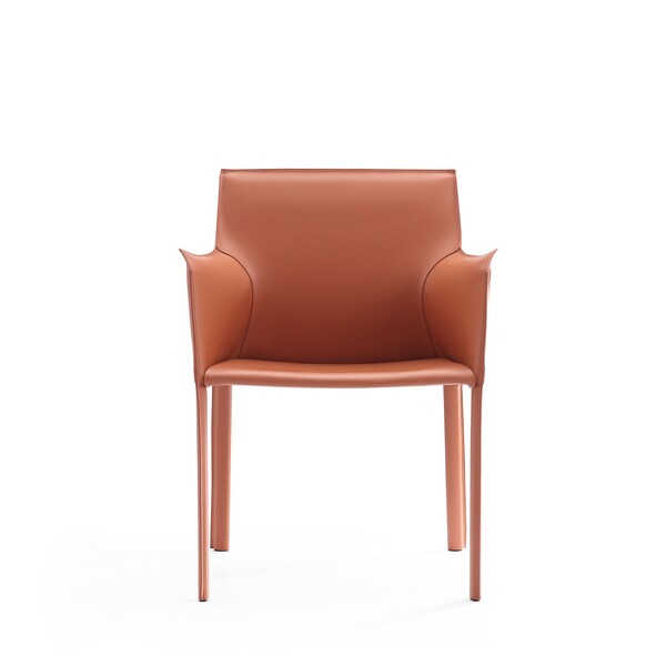 Manhattan Comfort Paris Armchair in Clay - DC034-CY