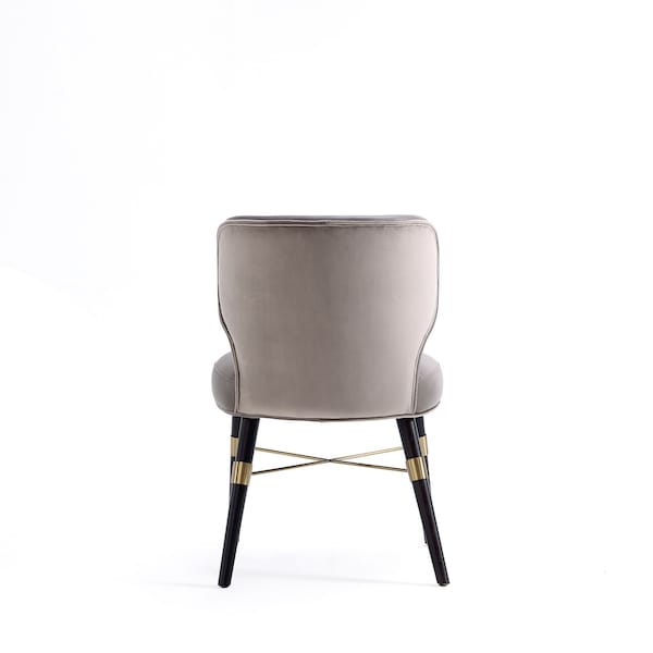 Manhattan Comfort Modern Strine Dining Chair Upholstered in Velvet and Leatherette-Set of 2 - 2-DC045-DT