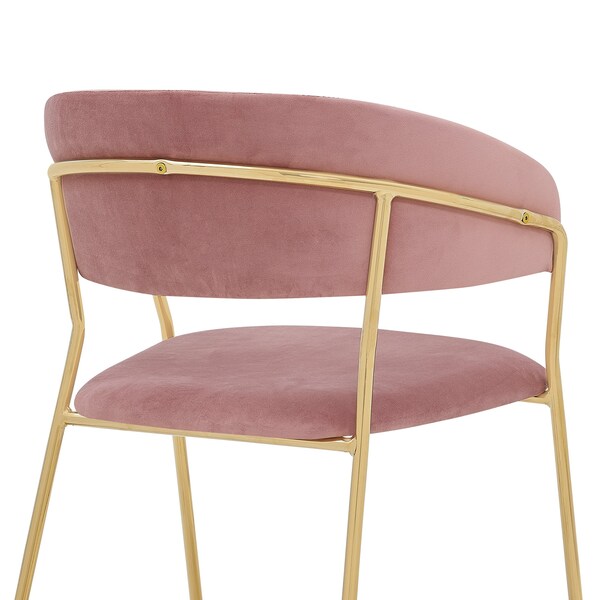 Armen Living Nara Modern Pink Velvet and Gold Metal Leg Dining Room Chairs - Set of 2 - LCNRSIGLPNK
