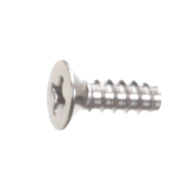 Hoshizaki FLAT HEAD T2 SCREW 4 - 7P22-0412
