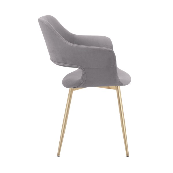 Armen Living Gigi Gray Velvet Dining Room Chair with Gold Metal Legs - Set of 2 - LCGICHGREY