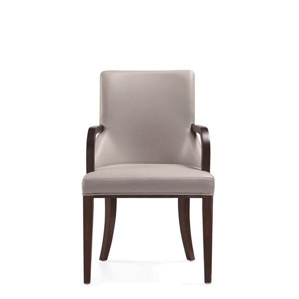 Manhattan Comfort Shubert Faux Leather and Velvet Dining Armchair in Light Grey - DC055AR-LG