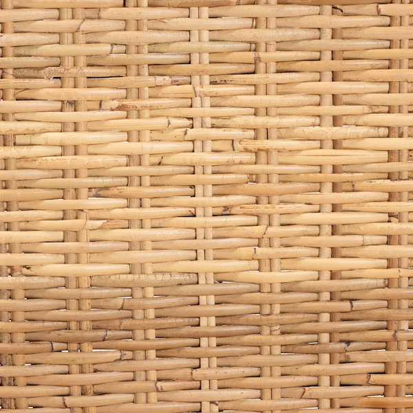 Bali & Pari Dermot Modern Bohemian Wood and Natural Rattan 2-Piece Dining Chair Set, PR - 238-2PC-13217-ZORO