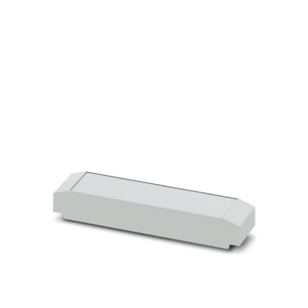 Phoenix Contact ICS25-C100X12-7035 DIN rail housing - 2203882