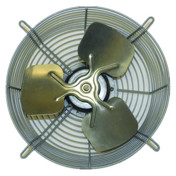 Dayton Guard Mounted Exhaust Fan, Blade 12" Dia. - 484X53