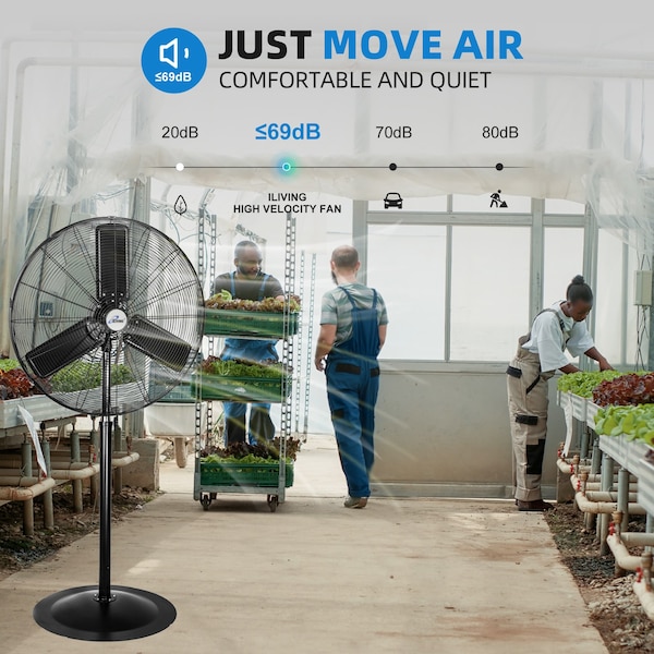 Iliving Adjustable Height Pedestal Fan, 30 in Blade Dia, 120V, 8400 cfm, Oscillating, Metal, Black - ILG8P31-93