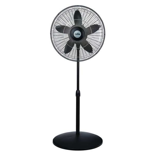 Air King 18" Blade Dia Pedestal Fan, Oscillating, 3 Speeds, 120VAC, Black - 9118
