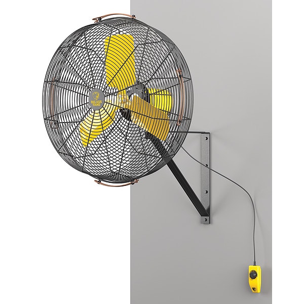 Big Ass Fans Standard-Duty Industrial Fan, Variable Speeds, Black, Controller, Mount - F-AE1-2401L13S34