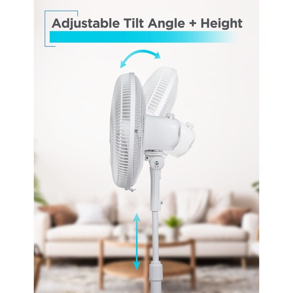 Black & Decker 16-Inch Pedestal Fan, Standing Fan with 3 Speed Settings, White - BFP16MXW