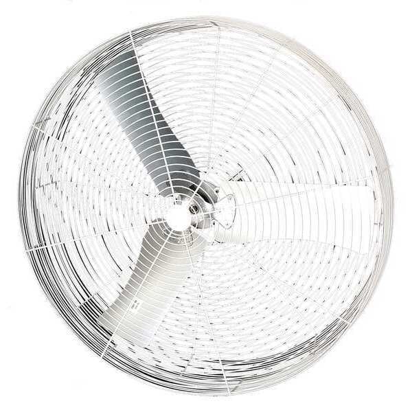 Dayton Corrosion Resistant Industrial Fan, Ceiling, IBeam, Wall Mount, 36 in Blade Dia, 208-230/460V - 36B8WT-G