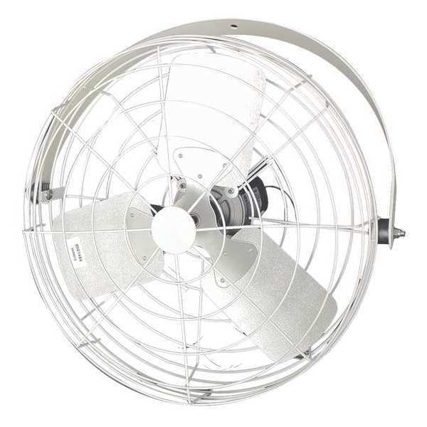 Dayton Corrosion Resistant Industrial Fan, Ceiling, IBeam, Wall Mount, 20 in Blade Dia, 115/230V - 20B4WV-W-G