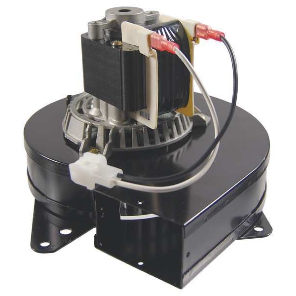 Packard Draft Inducer, 115, Metal, 8 11/16 in W, 8 11/16 in H - 66501