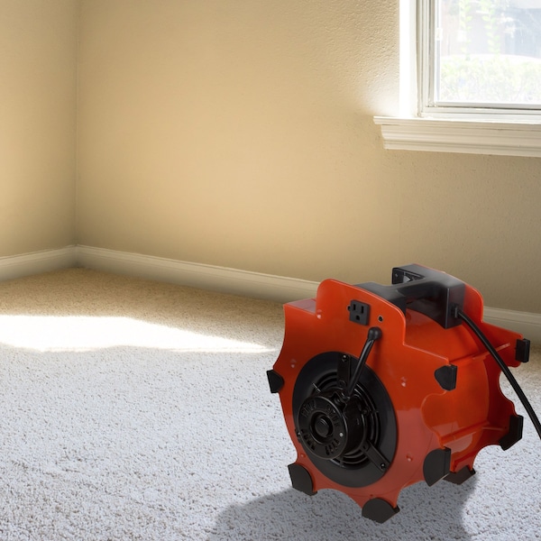 Stalwart Blower Fan-3-Speed Heavy-Duty Floor and Carpet Dryer Cars, or Garages by Red - 75-CAR1034