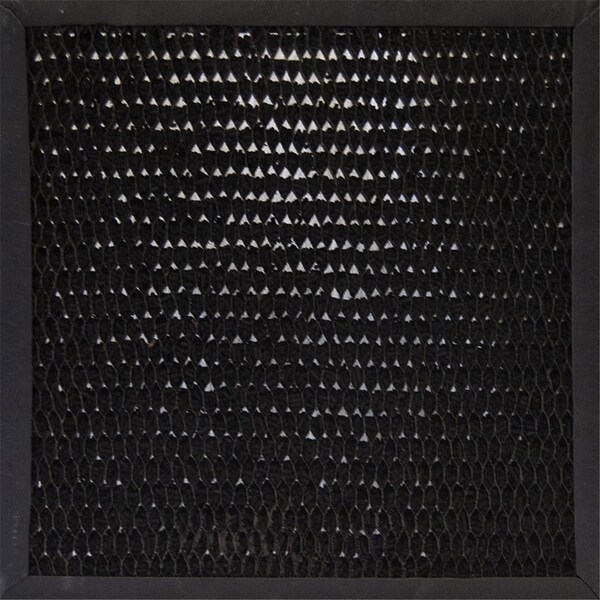 Apariencia 13 x 13 in. Mini Air Scrubber Activated Carbon Filter for X-2480A & X-2580 - AP4250621