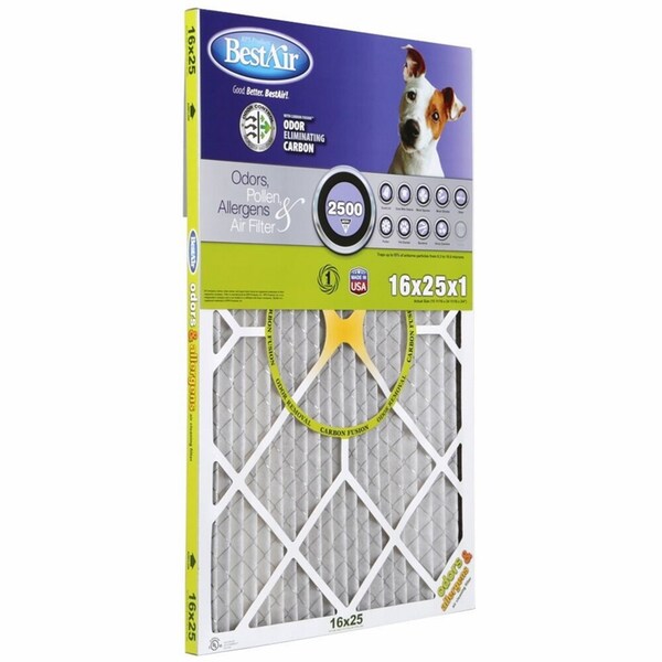 Bestair BestAir 16 in. W X 25 in. H X 1 in. D 11 MERV Pleated Allergen Air Filter 1 pk - PF1625-1