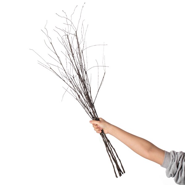 Uniquewise Brown Dried Curly Twig Tree Branch Stem for Home Decoration, Wedding Craft, and Floor Vase 37 Inch - QI004413