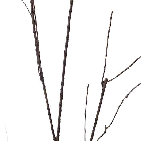 Uniquewise Brown Dried Curly Twig Tree Branch Stem for Home Decoration, Wedding Craft, and Floor Vase 37 Inch - QI004413