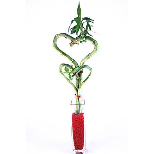Vista Double Heart Bamboo - Glass Block Bud Vase - VI2626625