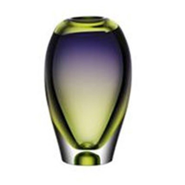 Kosta Boda Vision Vase - Green-Purple - 7041117