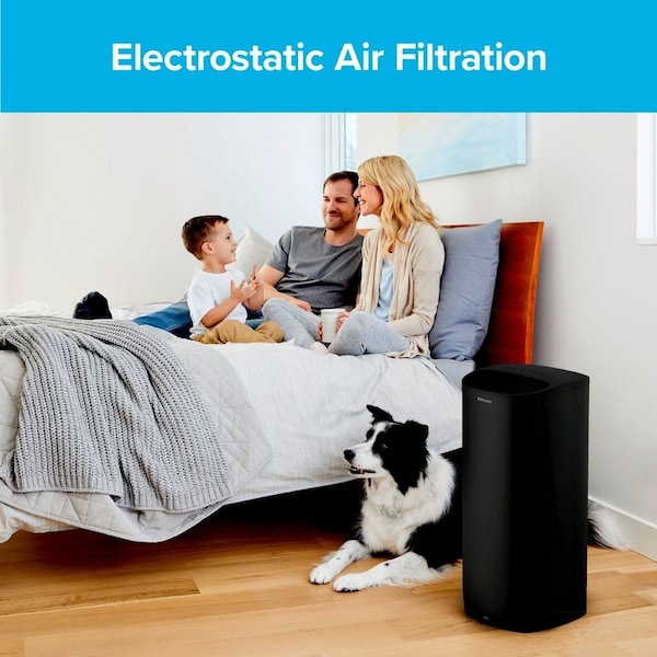 Filtrete Filtrete 13 in. H X 8.2 in. W Rectangular HEPA Air Purifier Filter 1 pk - FAPF-F2N-4