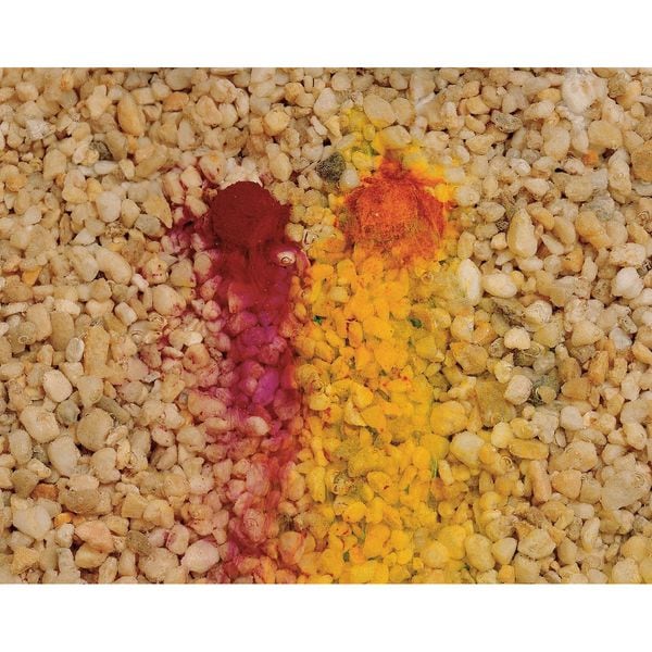 Bright Dyes Dye Tracer Powder, Fluorescent Red, 1 lb - 105403