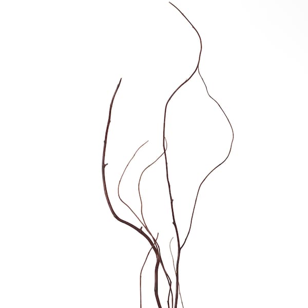 Uniquewise Brown Dry Branches Authentic Willow Birch Sticks for Home Decoration, Wedding Craft, and Floor Vase - QI004415